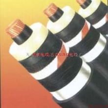 天津電纜廠2×2.5、5×4、5×16電力電纜產品資料詳解